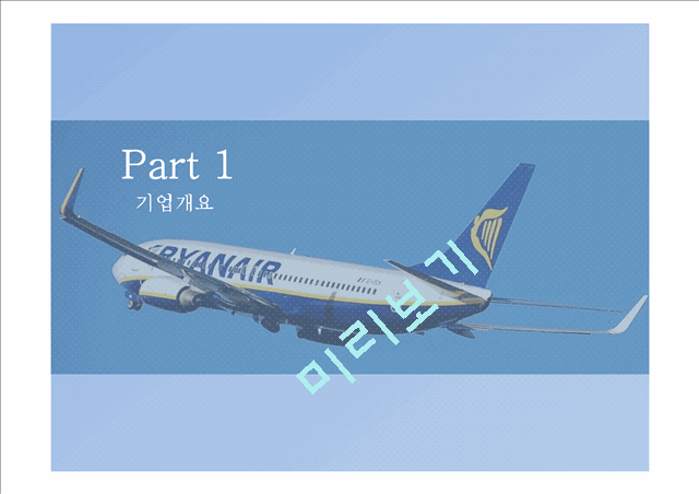 라이언에어(Ryanair)의 기업소개와 STP분석,SWOT분석 및 7P`s분석   (3 )